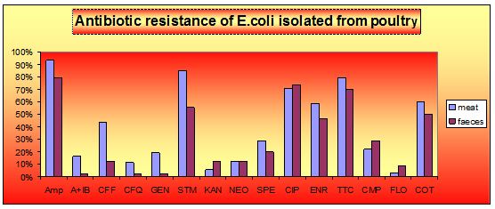 Antibiotic resistance of E.coli isolated from poultry