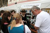 IMG_4221